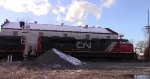 CN A431